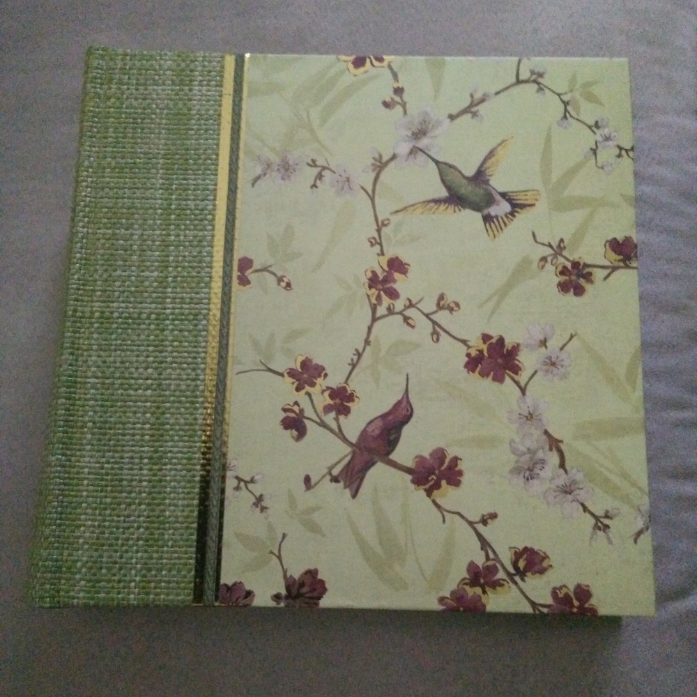 Beautiful Hummingbird Cherry Blossom Photo Album - Picture 1 of 4